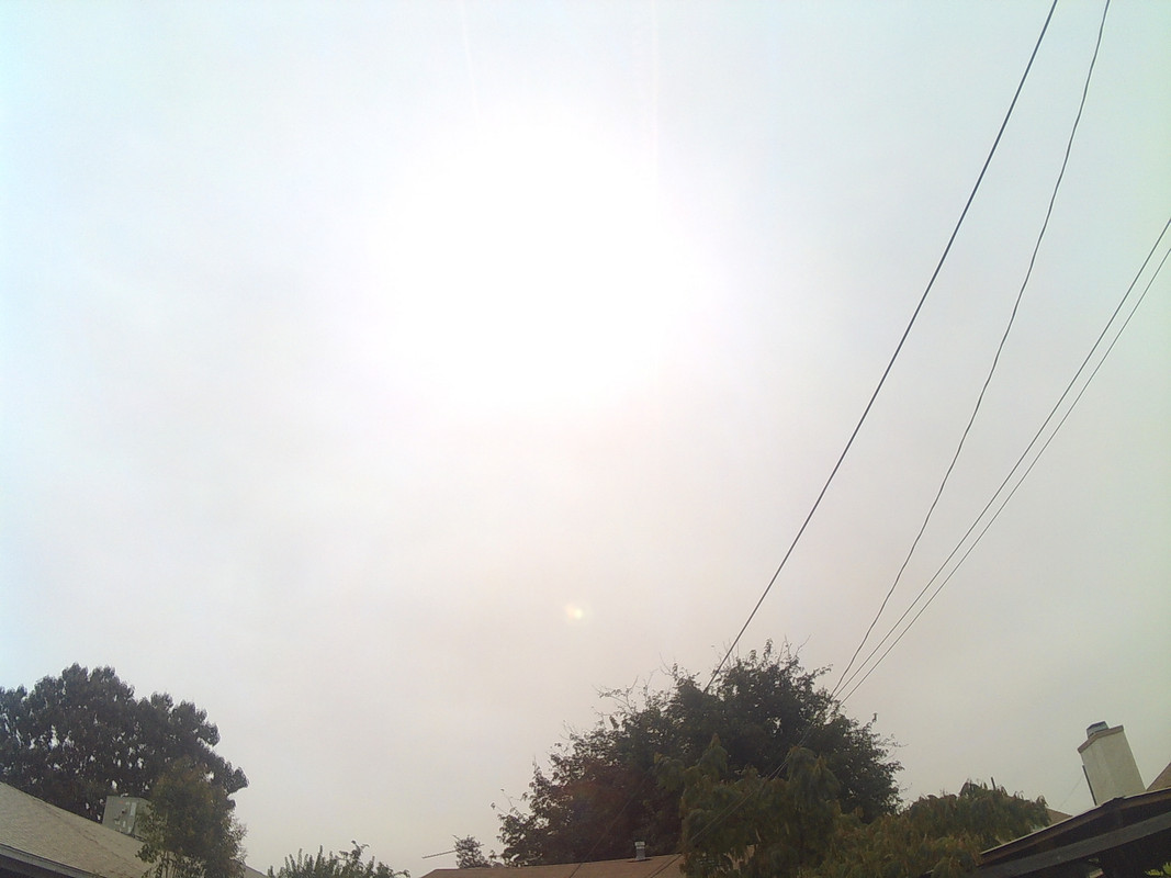 SUNP0007 (4)