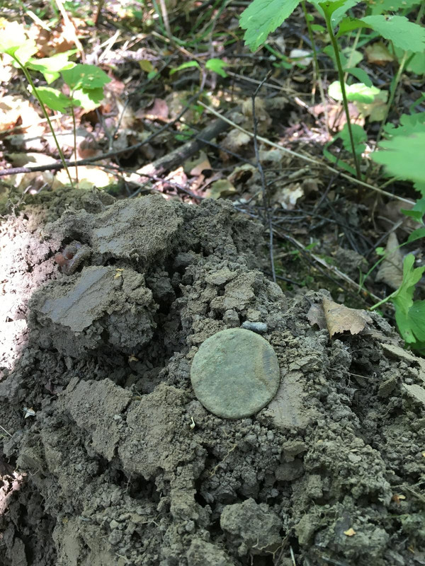 A3463ED5-9F2D-4D54-8A98-D919F15AB531