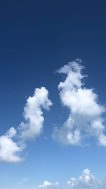 angelcandices~1555957132~2027837873230981490_43114731