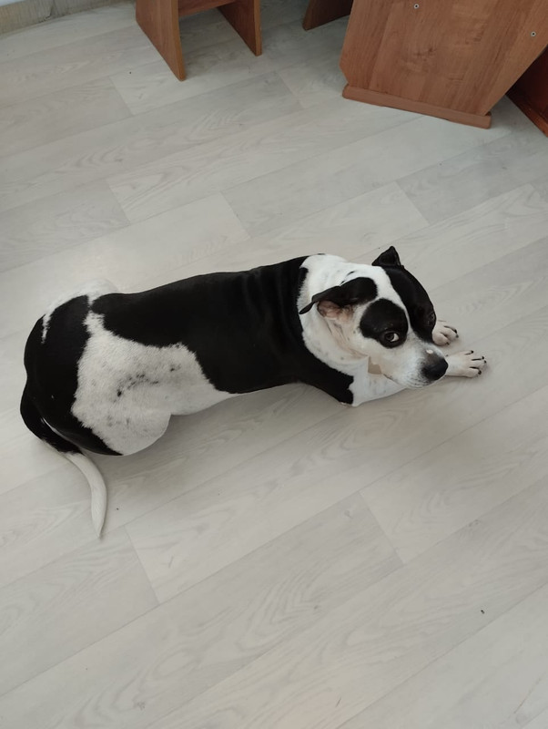 4BDF370D-544D-4F74-98E5-B211731E6B64