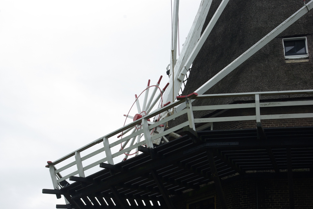 (01256) De Zwaluw - Hasselt 2