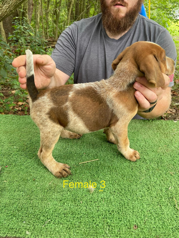 AC249791-1B68-4FF5-8D03-23E4CAC55894