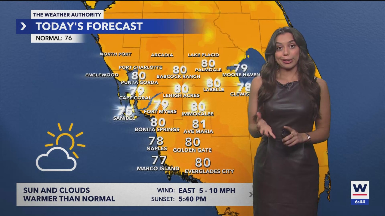 WINK News at 630am_20241223_11301200.ts_snapshot_15.00.955