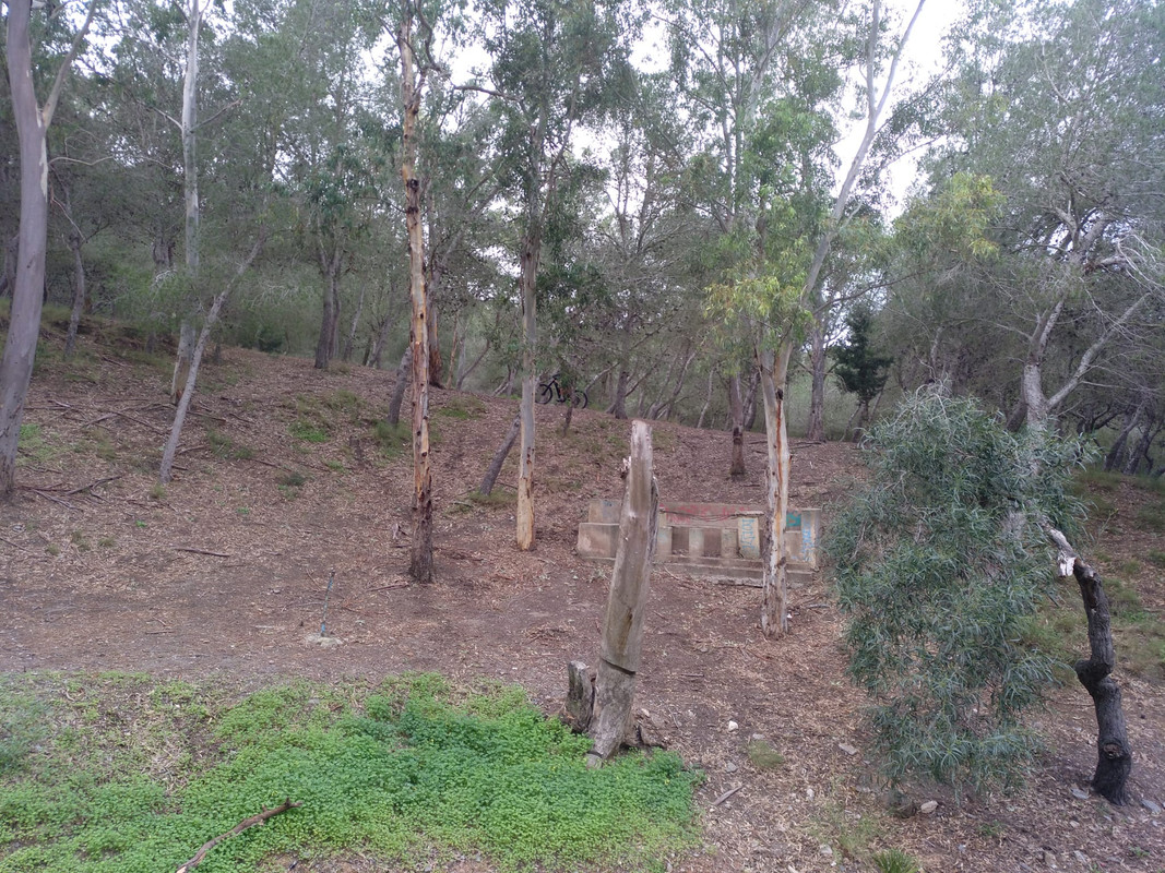 ASNOVESTRE ASNO BEJAR (10)