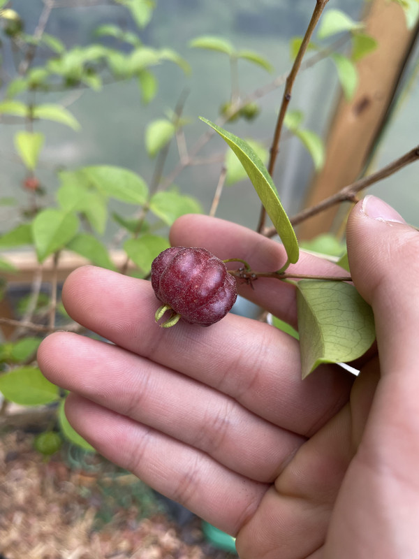 22C43299-0102-4D38-A477-BF47BC635186