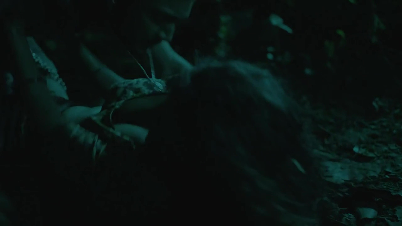 vlcsnap 2025 11 03 23h46m23s114