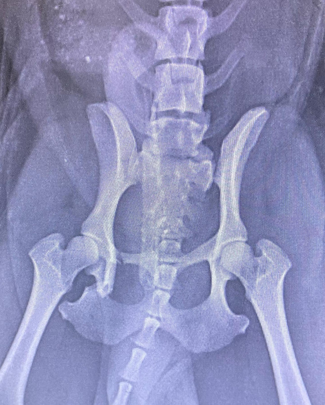 17F14B81-7EEE-413F-ABB6-0489823AC1D5