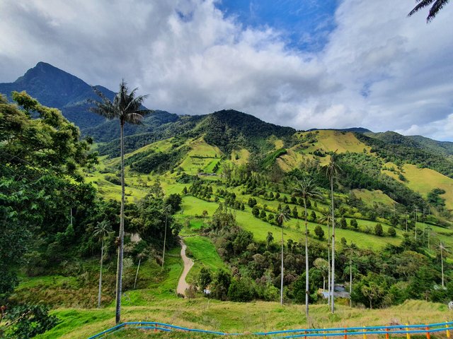 DIA 4: EL VALLE DE COCORA - Colombia y Curaçao Verano 2022 (9)