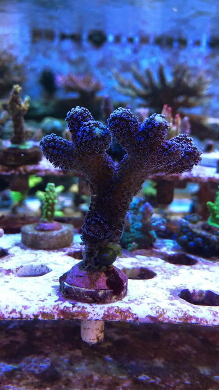 F9482B25-E376-436A-92B3-52B3BAA04347