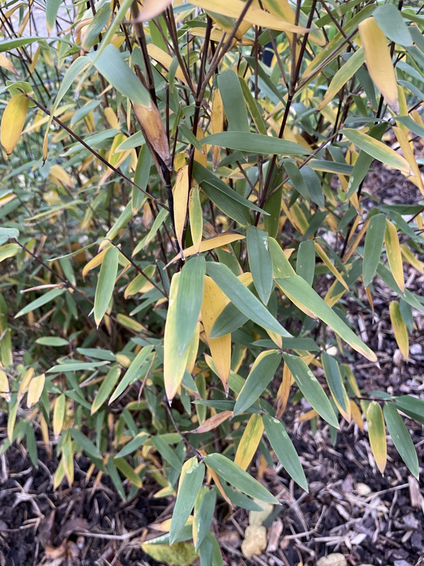 E2BB94A1-466D-47D7-971D-A3F4F69091F6