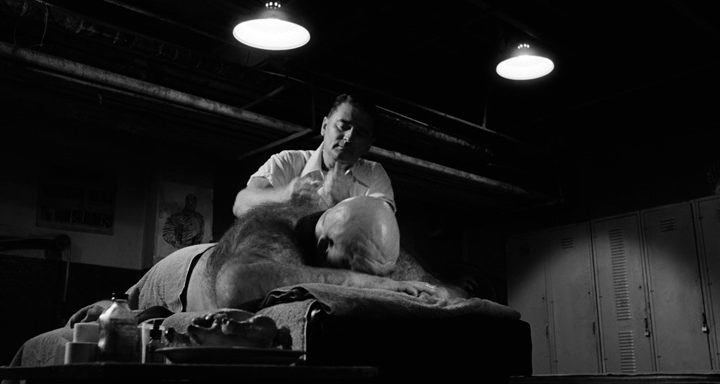 vlcsnap-2024-02-28-11h42m01s368