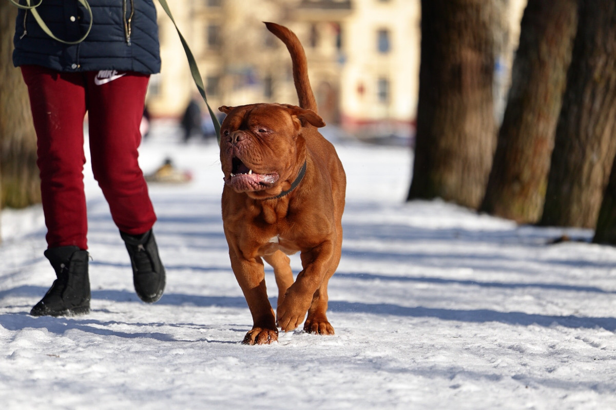 CB34137E-B4F9-468D-A6FF-5D564904AD24