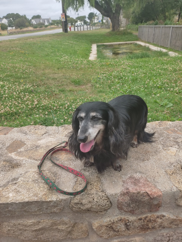 [Image: IMG-20230708-123014.jpg]