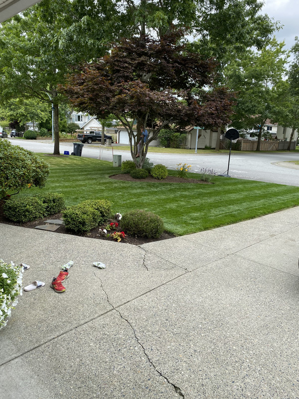 CE66C733-76A3-4A4D-AEF0-4B3FA028F530