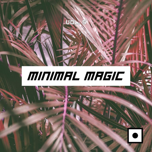 VA - Minimal Magic Vol 5 (2020) mp3 320 Kbps