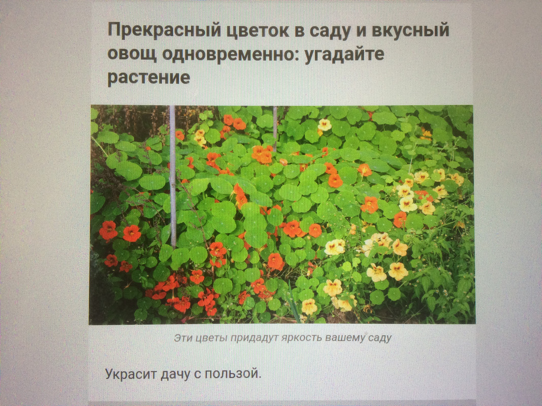 A9F57648-94E7-4BD3-8535-874B42942AFB