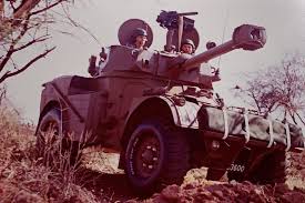 c'est un amx 13 ou un df-105