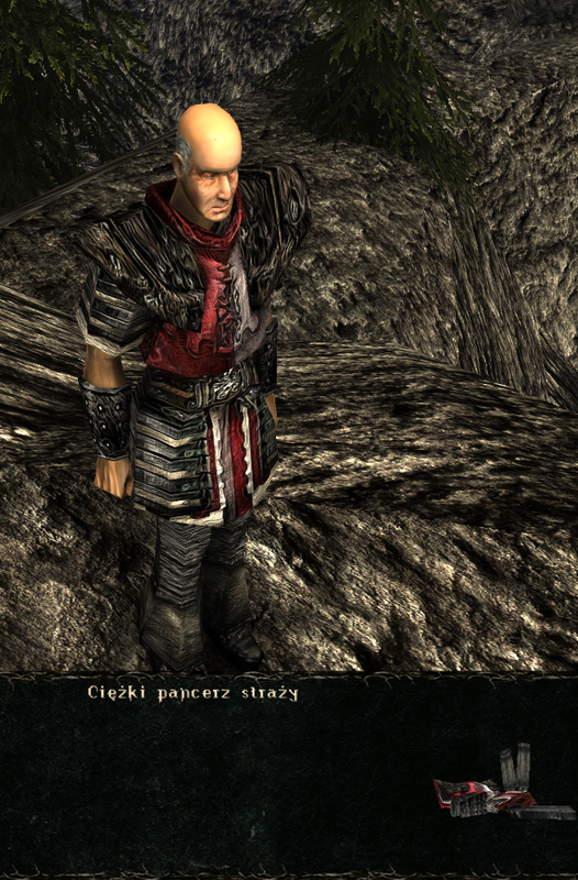 pancerze i ubrania (16)