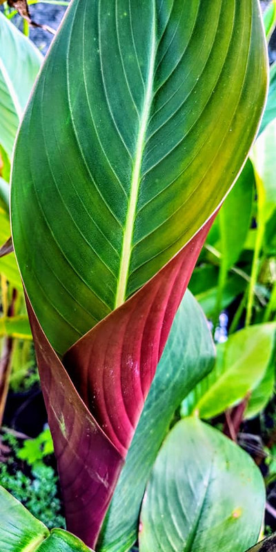 244012902_2982423045371520_4668969575810126657_n