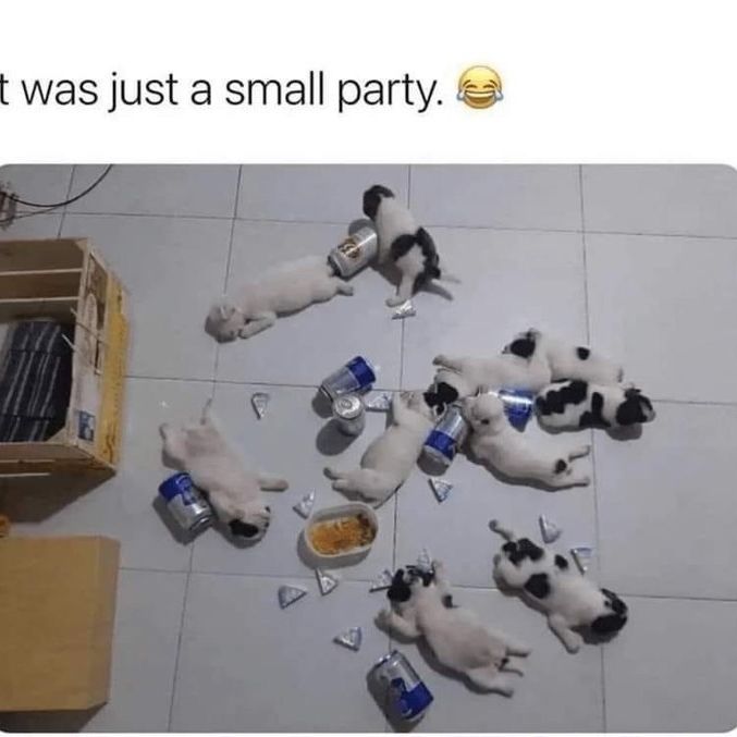 [Image: imgur-1715210104-3363748599488514443-1442850362.jpg]