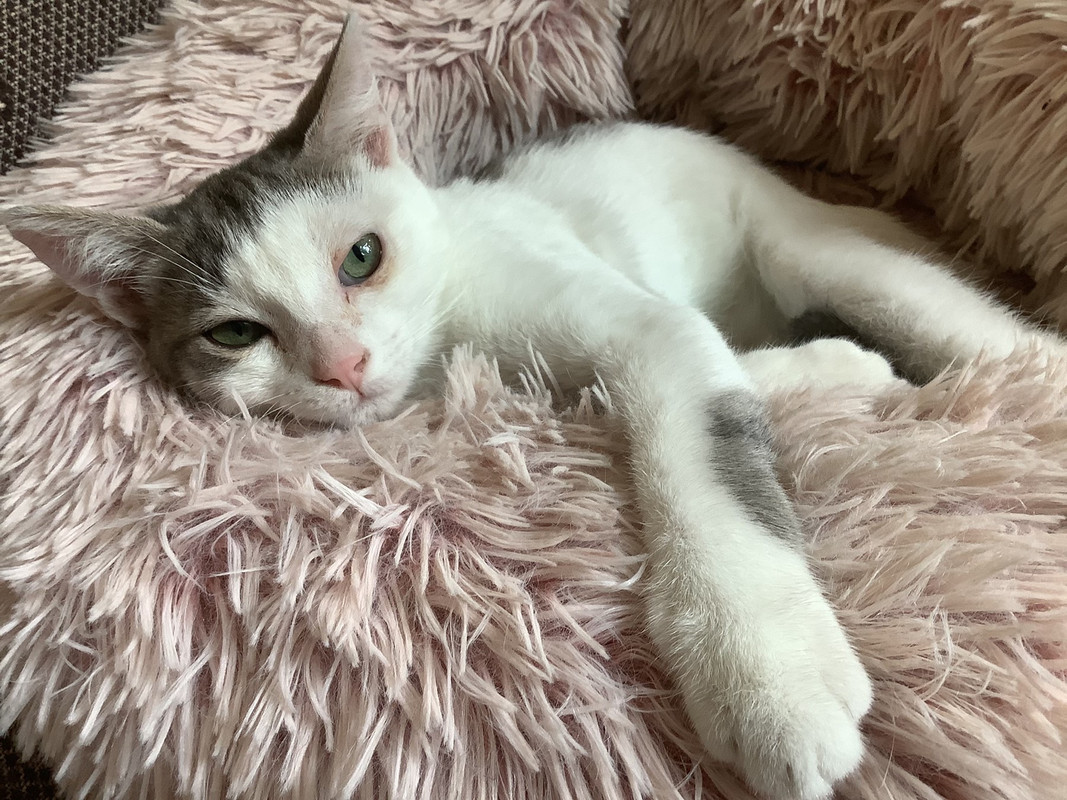 6C330A1E-E052-45A0-9AD5-3D41F33C3008