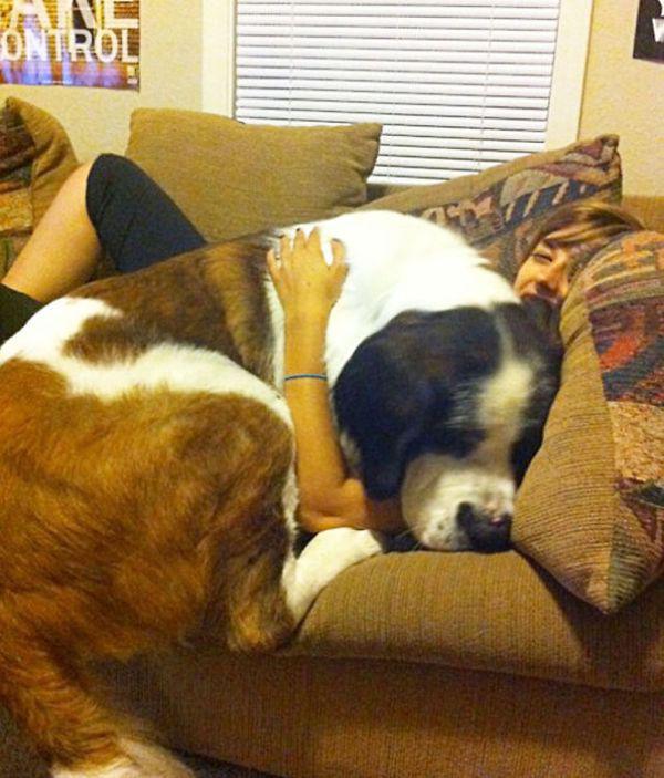 mans-best-friend-22