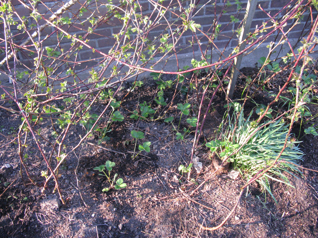 IMG-1417.jpg
