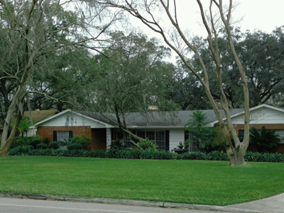 All Weather Tree and Landscaping Service, Inc. Tree-service-tampa