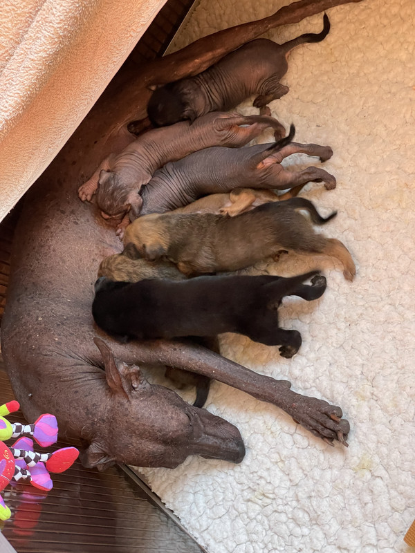 58041BE4-D0EA-40E2-9FB5-66918CFE2278