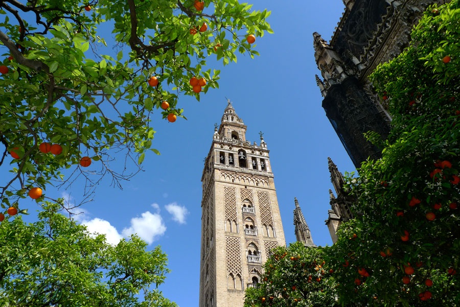 Giralda-Patio-de-los-Naranjosi-in-April.jpg