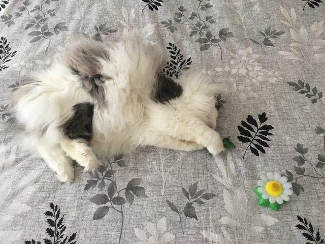 F8-F2-E597-598-A-4444-97-C9-95-E207-F094