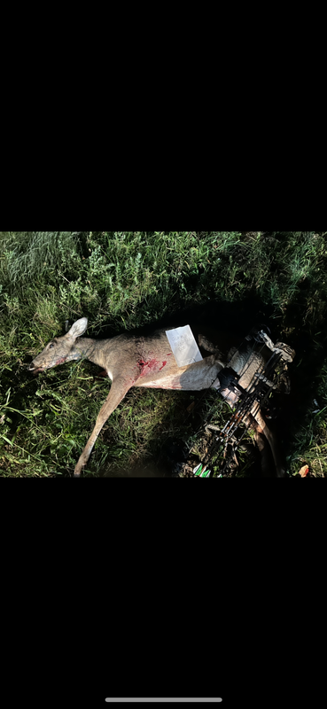 4C8E4082-3C03-4BFB-9A6E-B7B7785DDF39