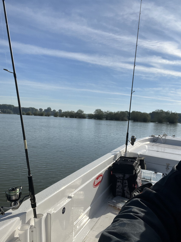 531809D3-D50A-4FB8-B13C-254393F6C545