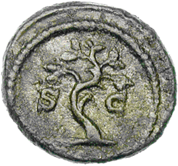 Glosario de monedas romanas. OLIVO. 4