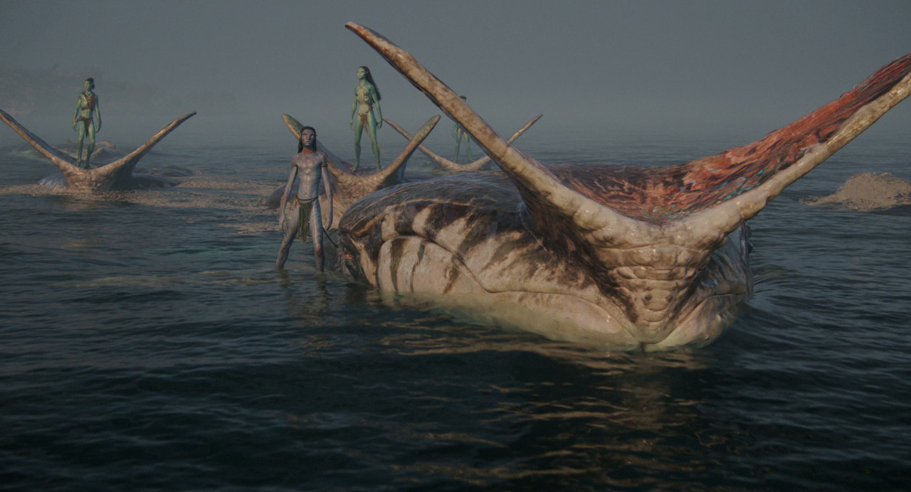 Movie cover image