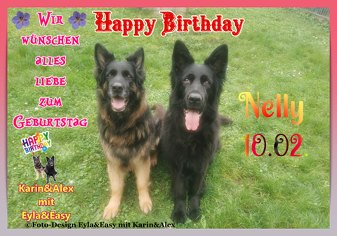 An den Beitrag angehängtes Bild: https://i.postimg.cc/rsrFk6R1/Vorlage-Bild-Geburtstag-2025-png-Nelly-Silvia.png