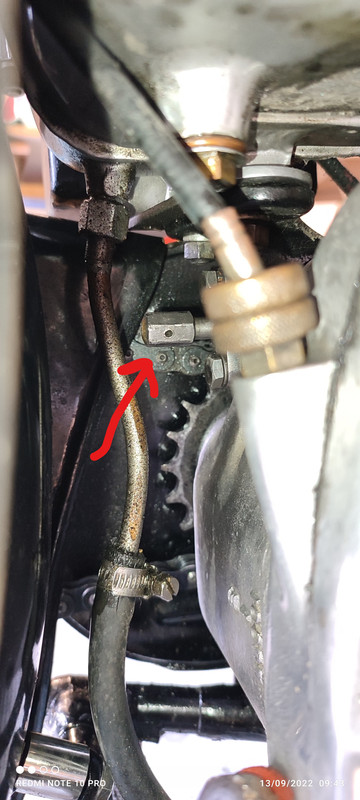 IMG_20220913_094328 (2)