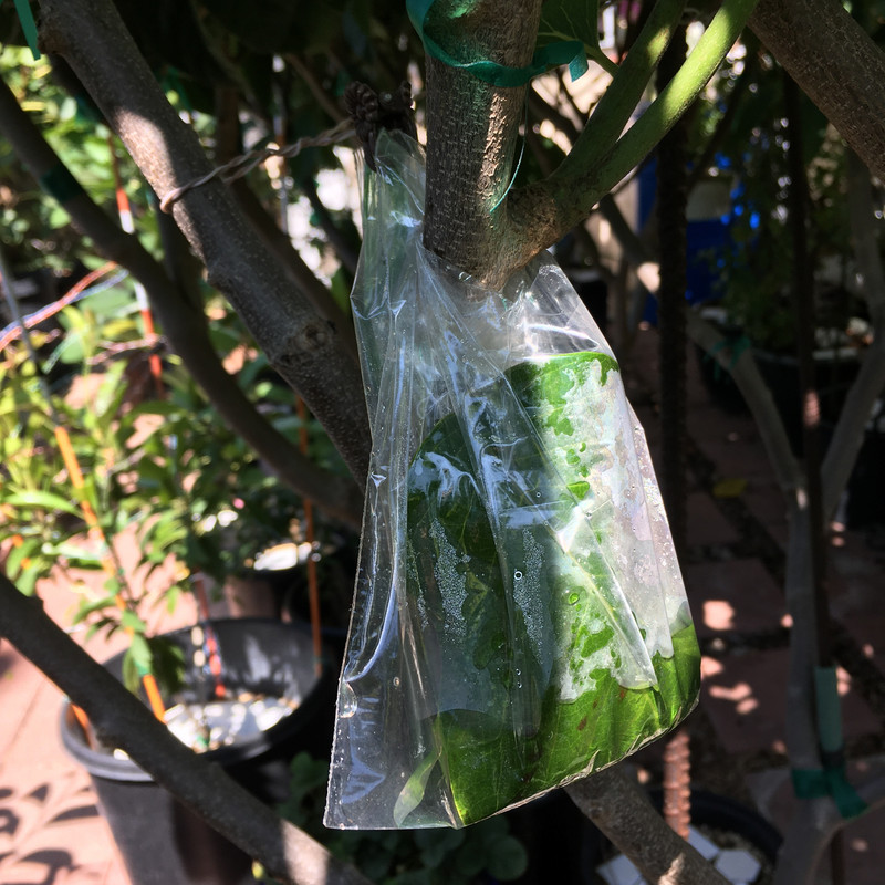 5330CCA1-C18F-4090-A100-B92BF73C8763