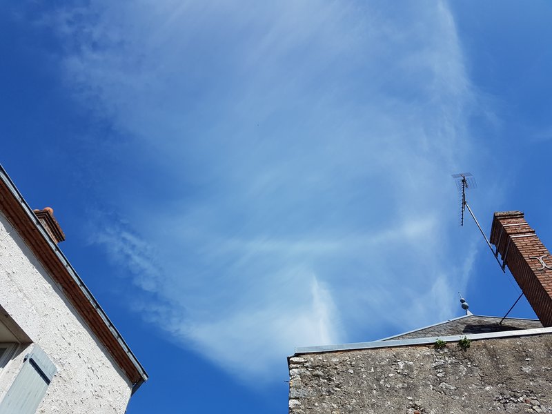 20220410-143642.jpg