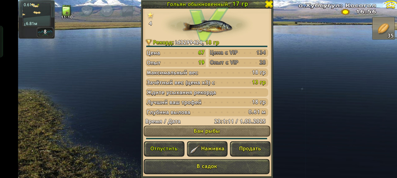 Screenshot-2025-03-01-23-01-17-72-fa28ee