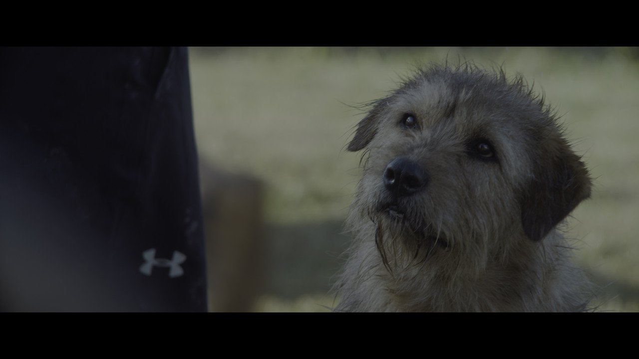 vlcsnap-2024-08-06-12h33m58s100