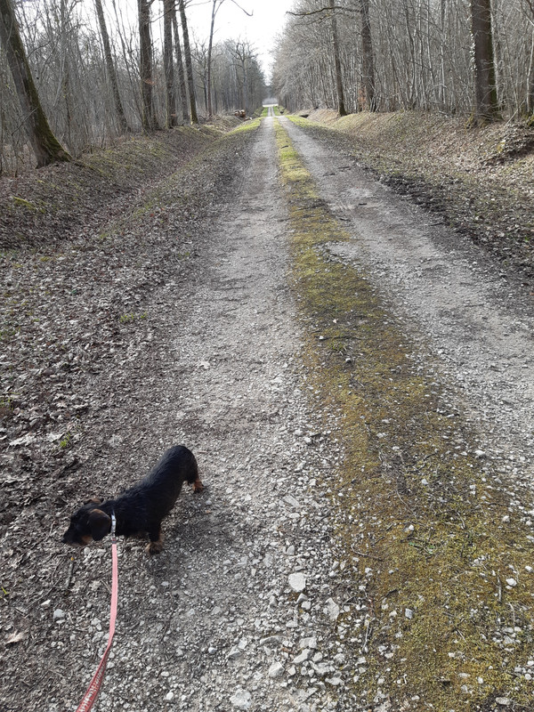 [Image: 20230316-161228.jpg]