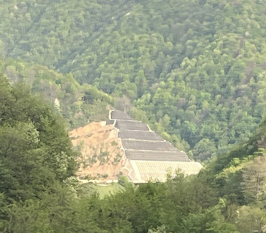 IMG 2333 — Postimages