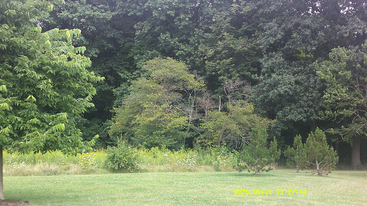 a green gradient