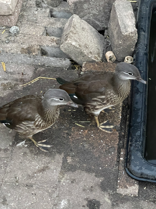 179349E4-47F2-4F88-9523-3BEC73C7C94E