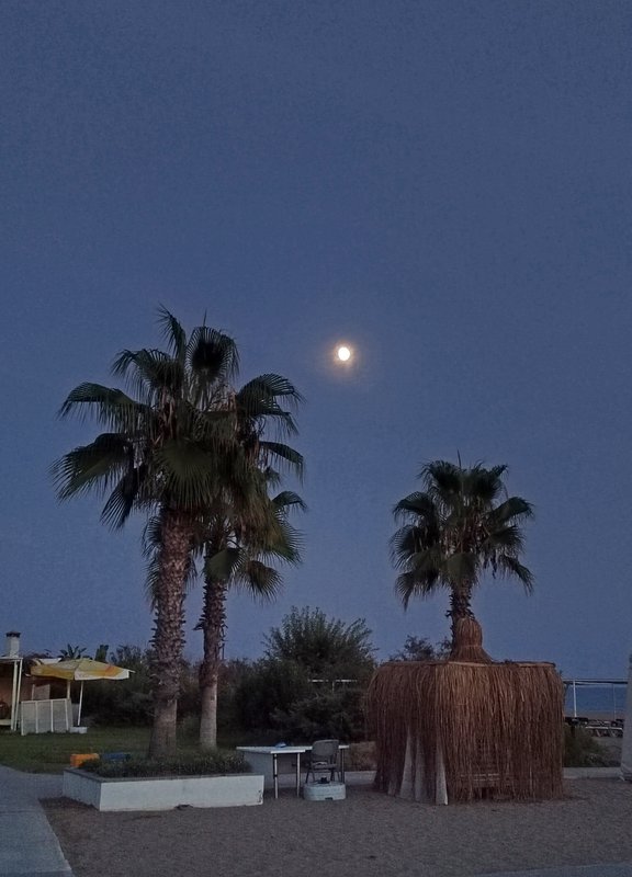 https://i.postimg.cc/rssWfNp0/09-IMG-20230926-190851.jpg