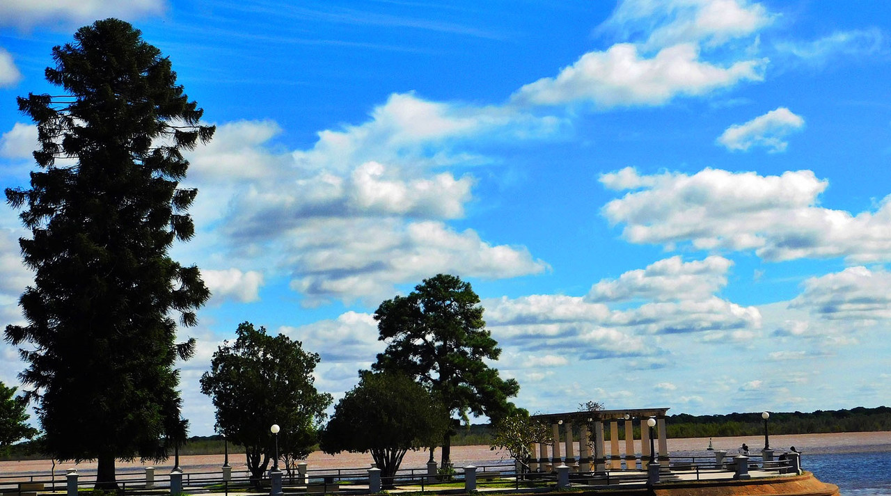 DSCN0439.jpg