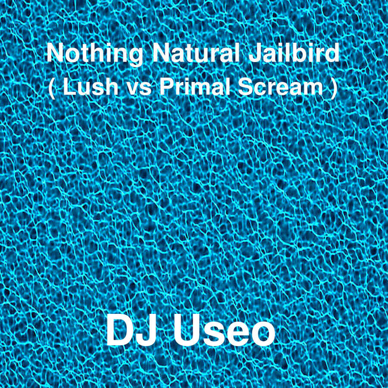 djuseo-nothing-jailbird.jpg