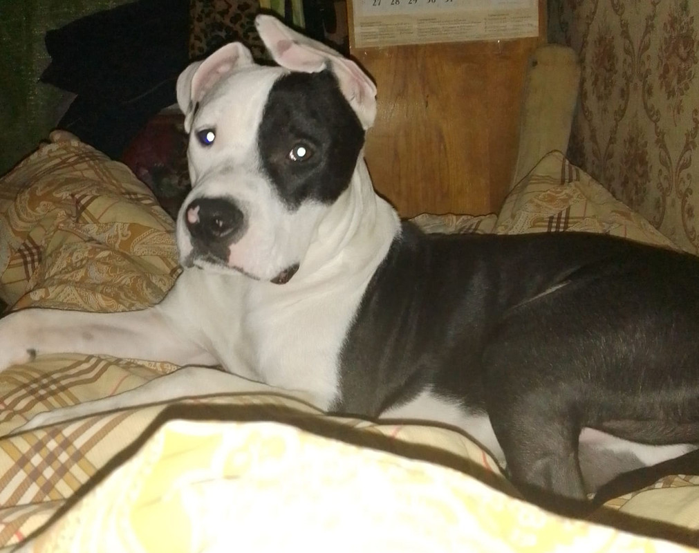 207C8091-475A-4066-B858-54236B8C3163