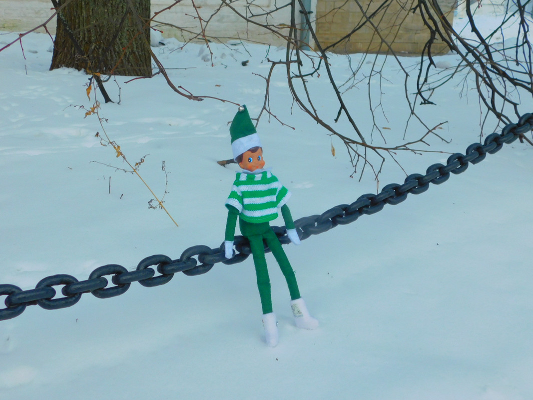 Февральское Коломенское 2023 028